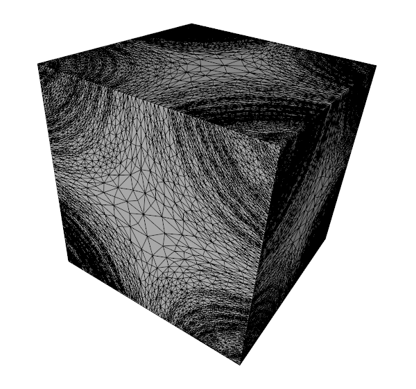 adapted cube mesh