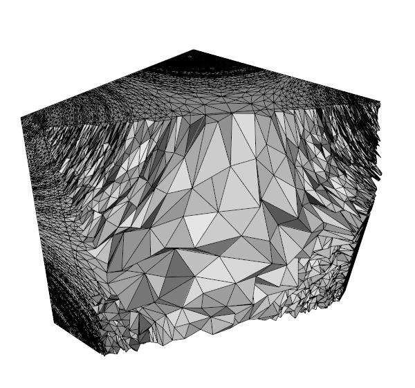 cut adapted cube mesh