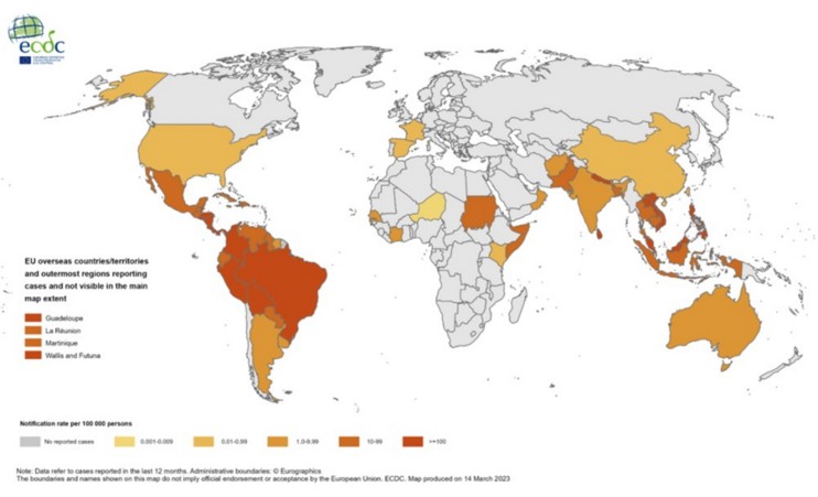 Dengue