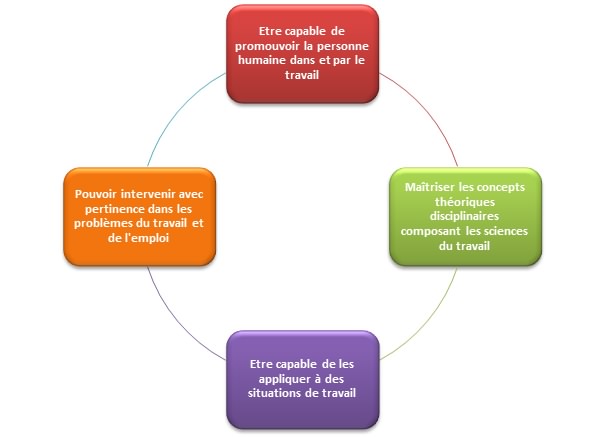 Acquis d'apprentissage (aperçu synthétique)