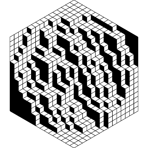 Lozenge tiling of a Hexagon