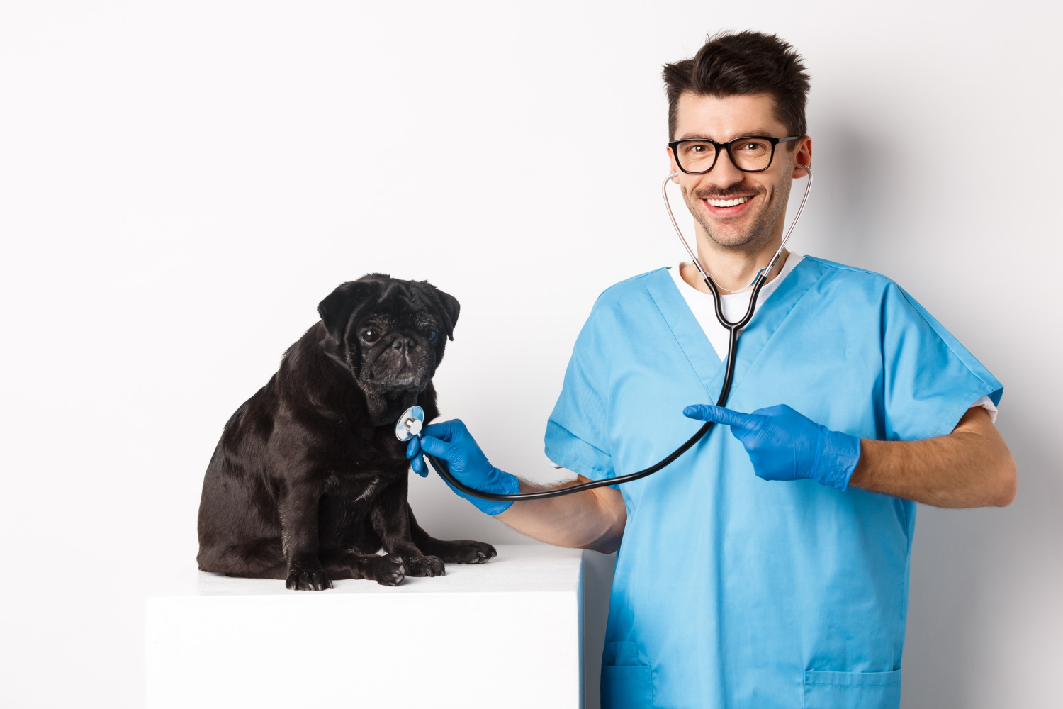 handsome-veterinarian-at-vet-clinic-examining-cute-black-pug-dog-pointing-finger-at-pet-during-check-up-with-stethoscope-white-background.jpg