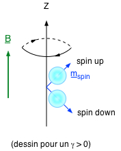spin up et down