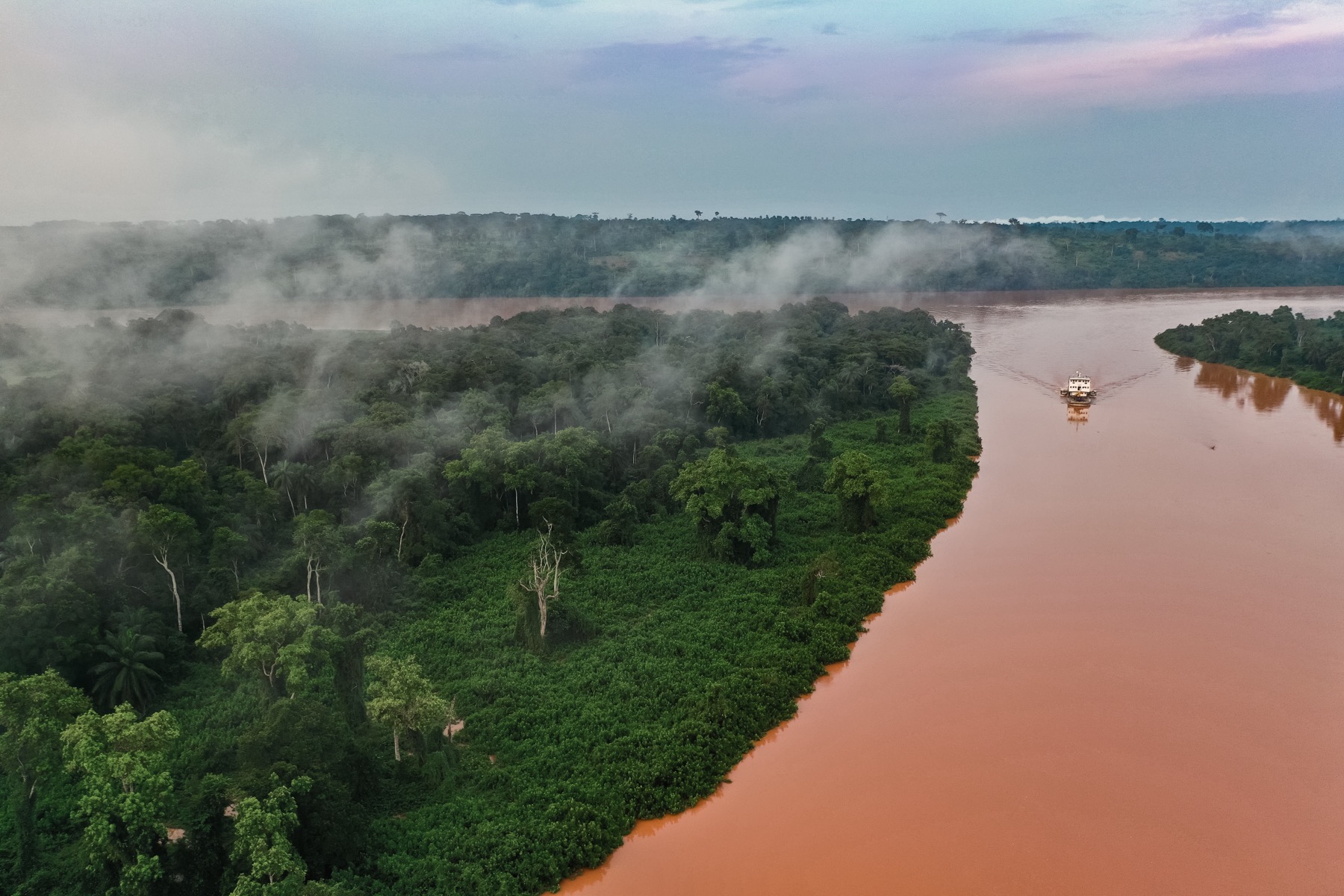 Tropical forest landscape in the Congo Basin