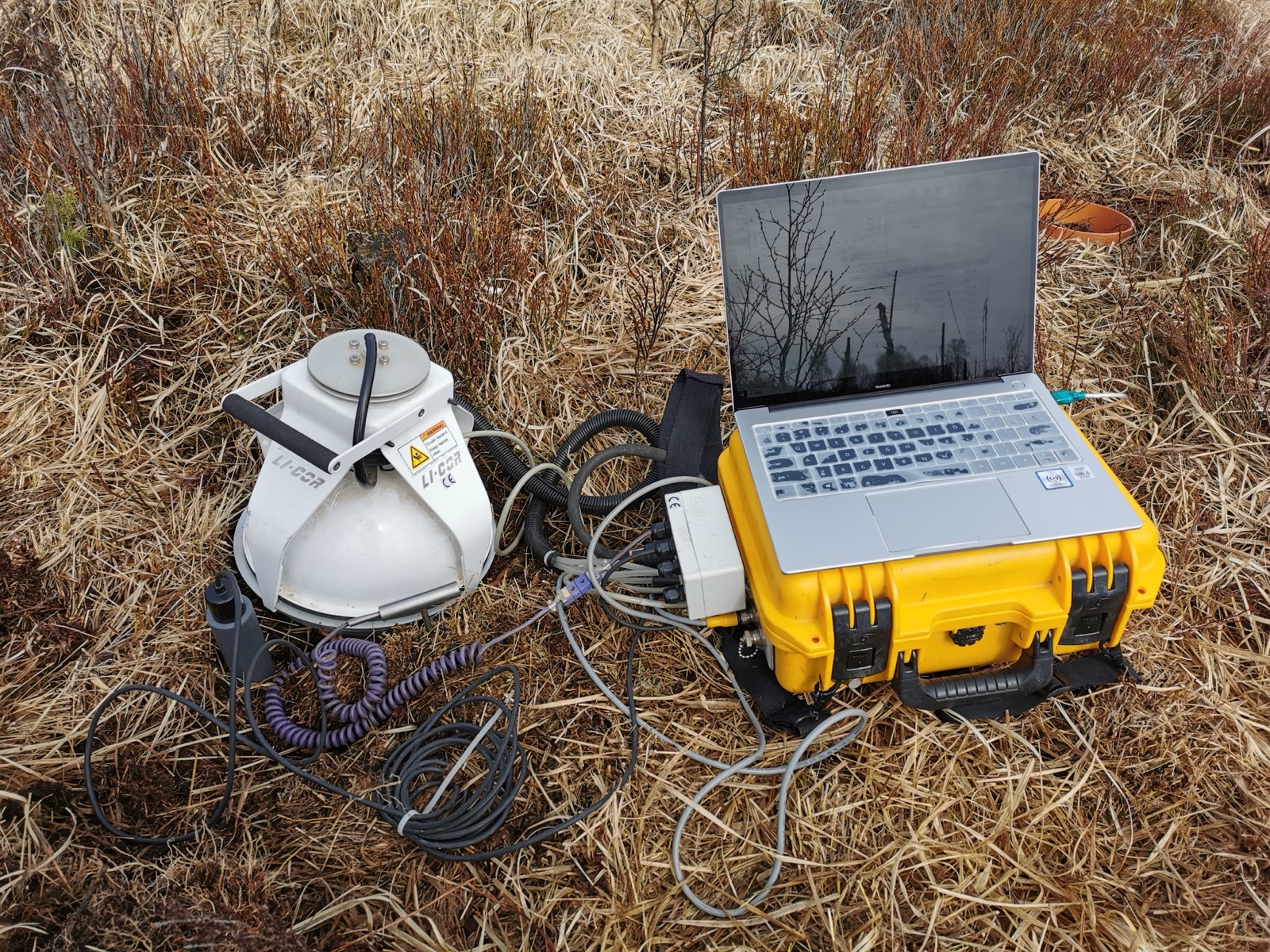 Peatland field measurements