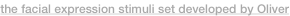 shapeimage_3_link_1