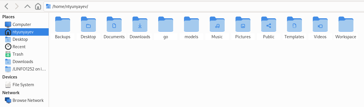 ../_images/linux_file_explorer.png