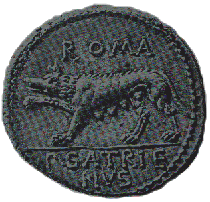 Denier en argent de P. Satrienus (75-74 av. J.-C.). Au revers, une louve solitaire tourne vers la gauche, la patte antrieure droite leve.